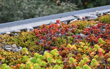 the cost of Pontesford green roof installation