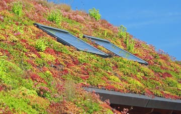 Pontesford living roof systems